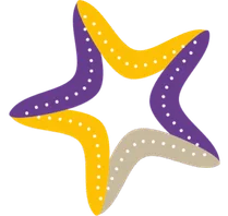 logo-billabong-high-school-jabalpur